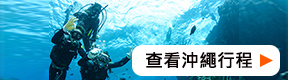 Voyagin