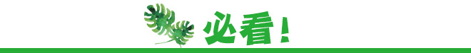山形特輯 採訪團隊發現山形深度魅力