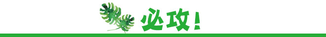 山形特輯 採訪團隊發現山形深度魅力