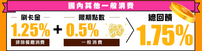 國內其他通路消費